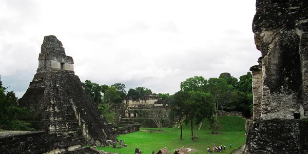 Tikal temple jaguar jpg
