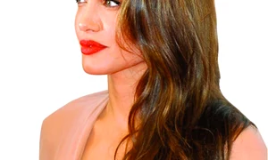 CLIIMA20100417 0050 1 jpeg