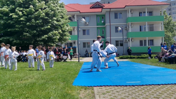 karatisti_demonstratie_pe_covor_albastru_foto_alina_mitran