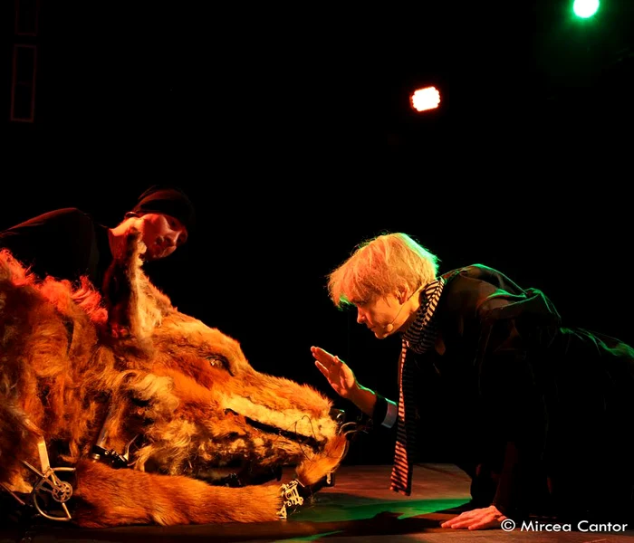 rosencrantz2 foto m cantor jpg jpeg