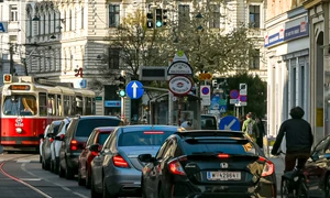 viena foto flickr png