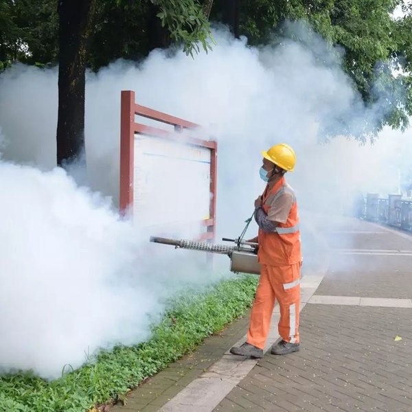 Ce se întâmplă dacă te infectezi cu virusul Chikungunya, care afectează deja mii de oameni în China. OMS: „Istoria se repetă”