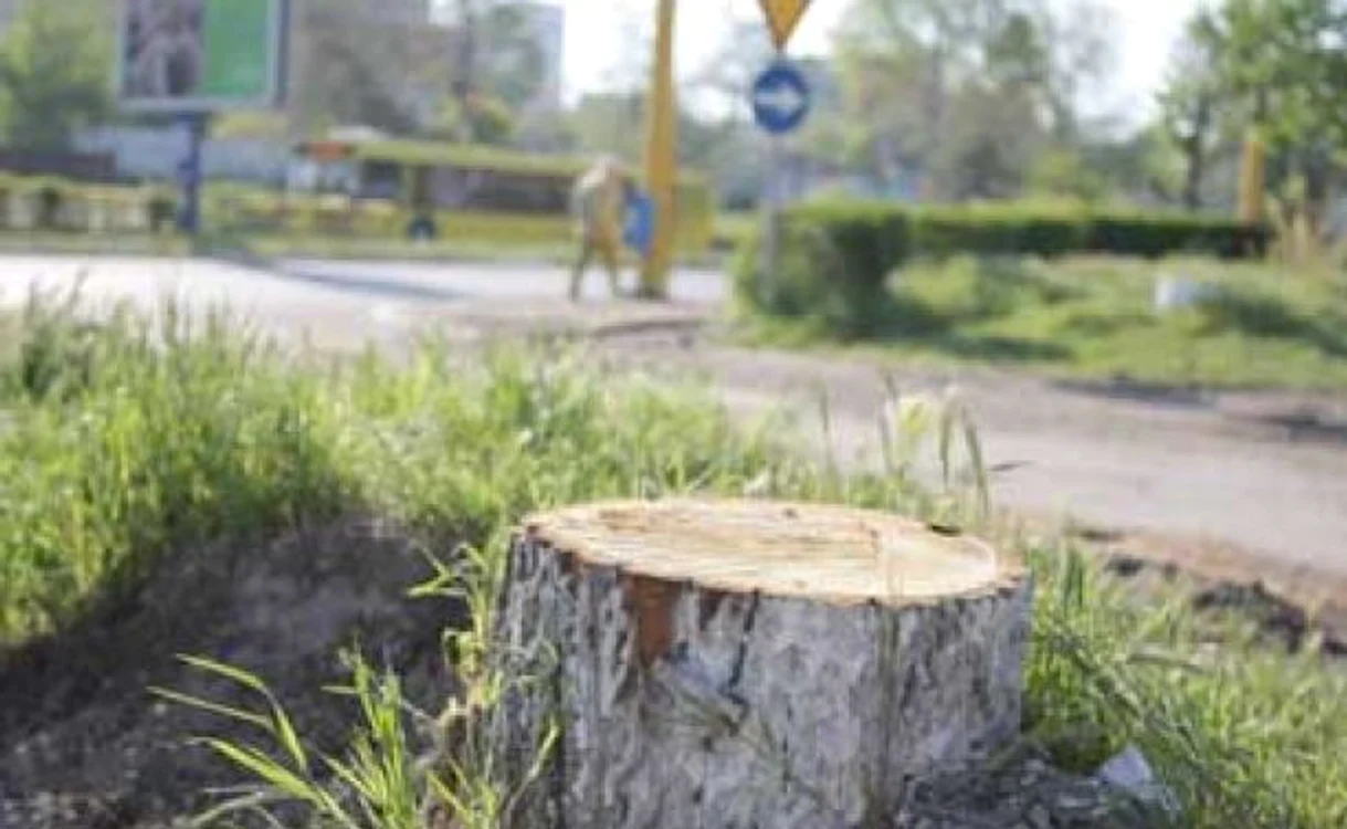 Rareş Secară (18 ani) a încercat să fure geanta unei tinere, pe o stradă din Focșani