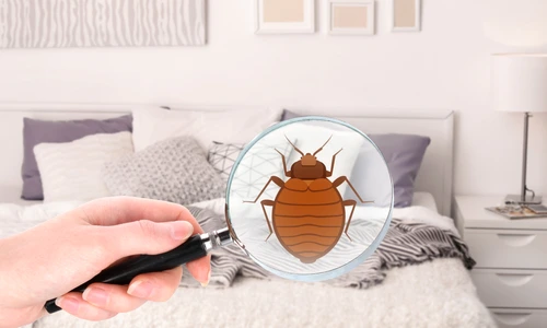 1 shutterstock 1031722960 jpg jpeg