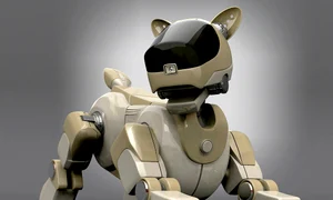 sony aibo jpeg