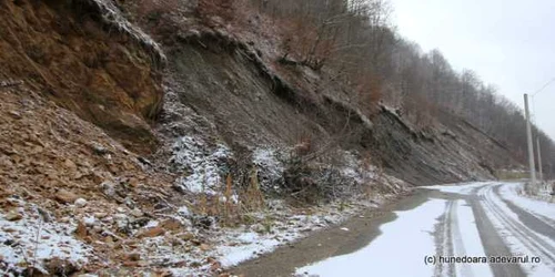 lunca cernii sosea hunedoara foto daniel guta