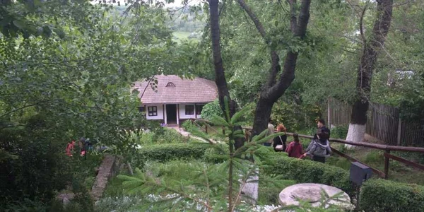 case memoriale iasi iulia ciuhu