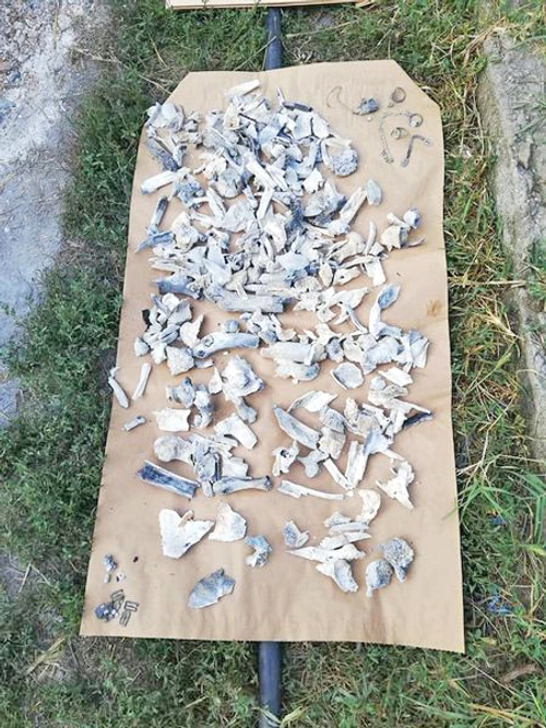 Oasele găsite în incinerator