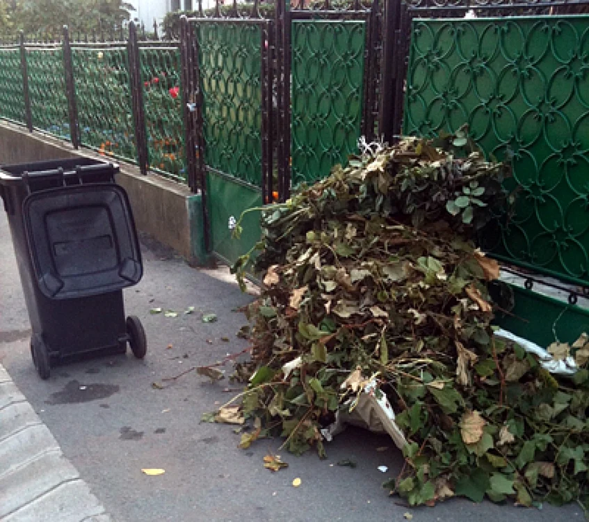 Deşeurile vegetale trebuie depozitate în grămezi şi aşezate lângă pubelele cu deşeuri menajere