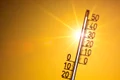 canicula, foto shutterstock jpg