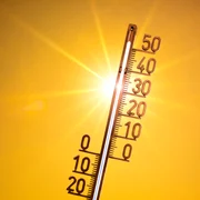 canicula, foto shutterstock jpg