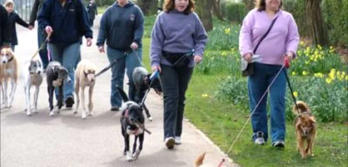 Pietrenii care au animale de companie sunt chemaţi să se civilizeze