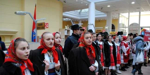 colindatori oradea