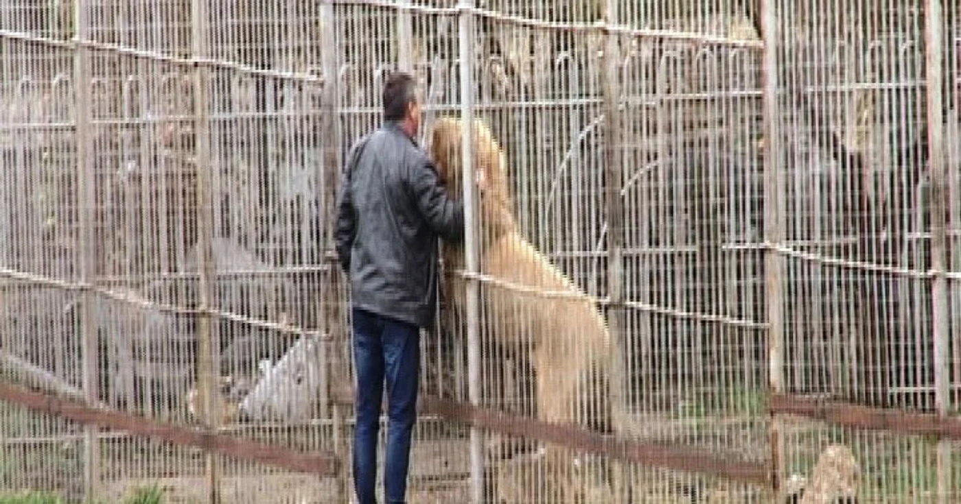 Pentru funcţionarea fără autorizatie de mediu, Fundatia International Wildlife Foundation a fost sancţionată  contraventional, cu amendă cuprinsă între 30.000 şi 60.000 lei, conform prevederilor OUG 195/2005