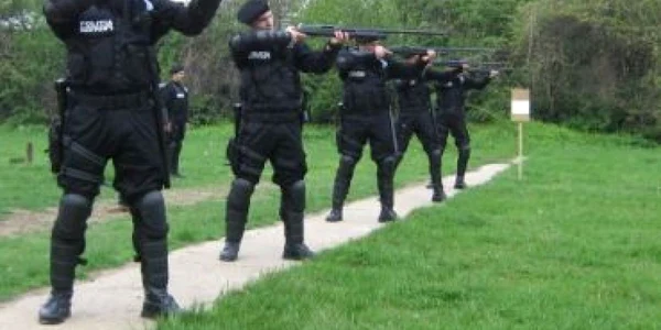 VIDEO Poliţia comunitară - fapte, nu vorbe?