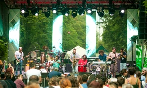 „La jazz oricine ar trebuie să fie binevenit“ – interviu cu Alin VAIDA jpeg