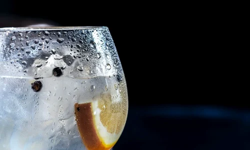 Tot ce trebuie să știți despre gin jpeg