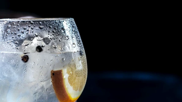 Tot ce trebuie să știți despre gin jpeg