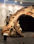 mammoth bone shelters ukraine 1 webp