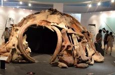 mammoth bone shelters ukraine 1 webp