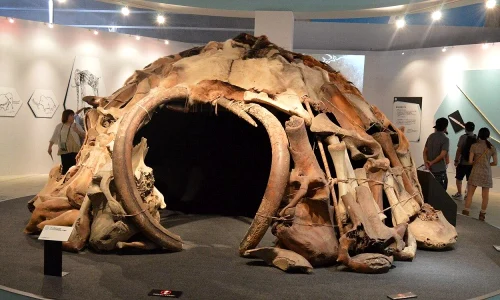 mammoth bone shelters ukraine 1 webp