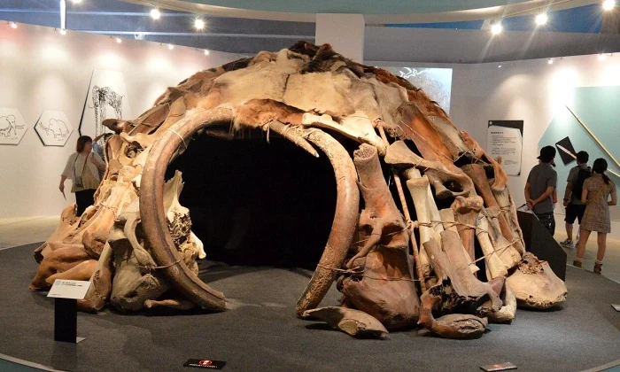 mammoth bone shelters ukraine 1 webp