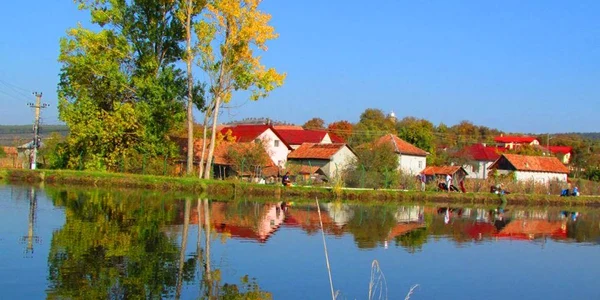lacul caprioara cluj foto