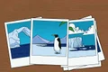 find the mistake in the picture jpg