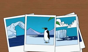 find the mistake in the picture jpg