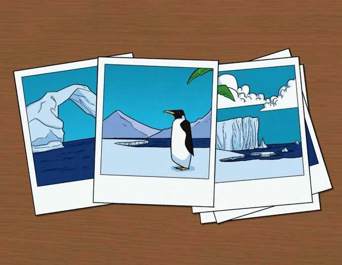 Test IQ / foto: Bright Side