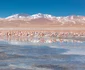 4 giorgia romiti ni0fxnmepj4 unsplash jpg jpeg