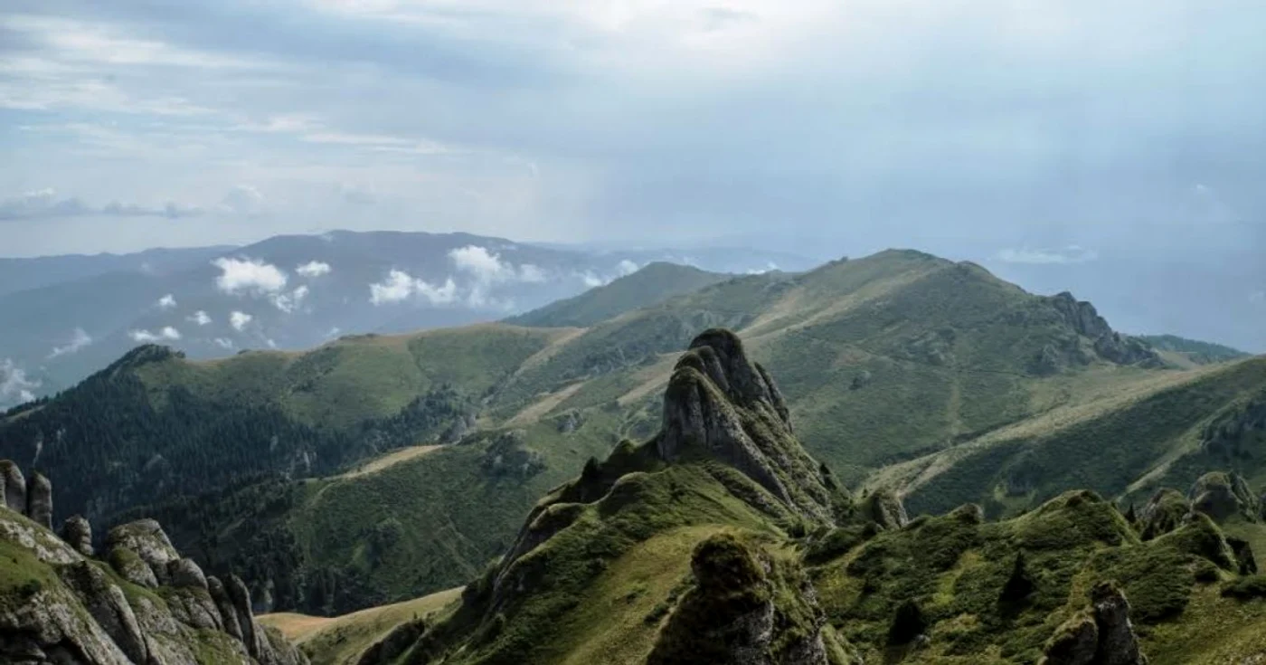 Documentarul ”Wild Carpathia- Seasons of Change” va fi prezentat la ONU