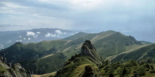 Wild Carpathia
