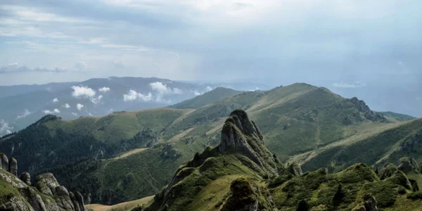 Wild Carpathia 