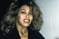 Tina Turner  foto   Shutterstock jpg