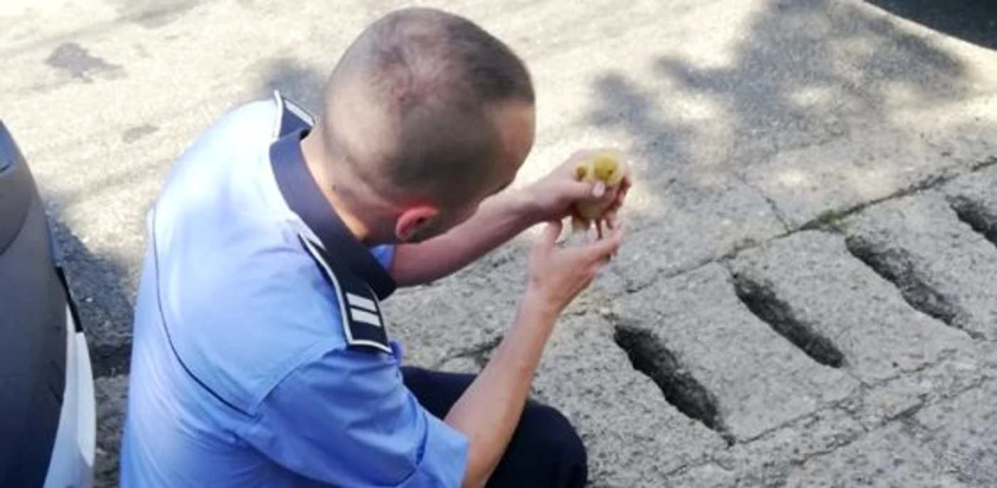 Bobocul a fost salvat dintr-un canal