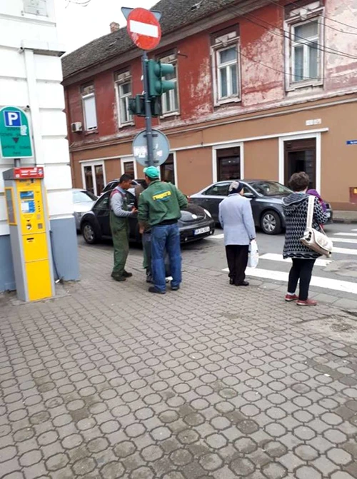 gunoierii voluntari