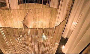 Ruşinoşii pot cere separatoare de bambus jpeg