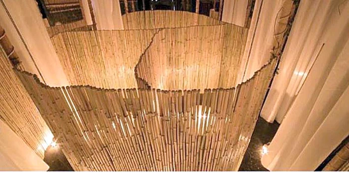 Ruşinoşii pot cere separatoare de bambus