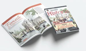 deschidere site martie 290 png