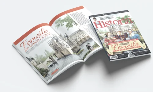 deschidere site martie 290 png