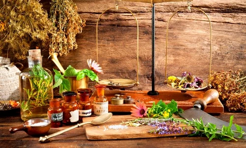 1 plante medicinale jpg jpeg