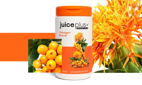 JP+ header 2 interior jpg