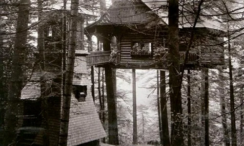 „Cuibul Princesei“ de la Peleş  Povestea căsuţei din copaci a Reginei Maria jpeg