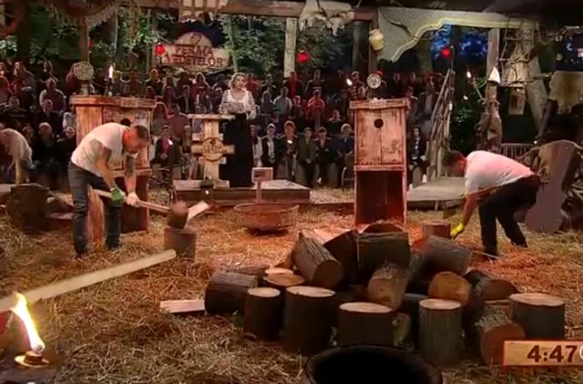 
    Augustin şi George au tăiat mai mulţi buşteni, însă s-a tăiat serios la mânăfoto: captură Pro Tv  