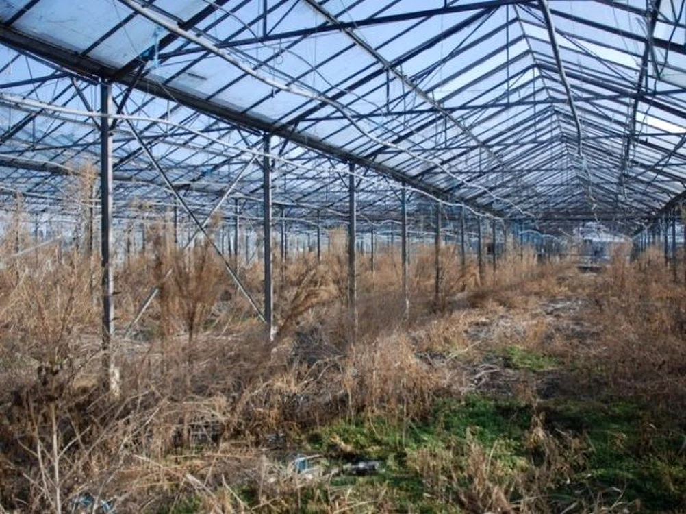 Terenul în litigiu se află pe locul fostelor sere de la marginea Aradului FOTO Arhivă