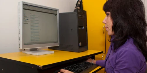 Lucru la calculator Foto: Arhivă