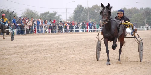 Derby de Trap la Hipodromul Ploiești. Foto arhivă Adevărul