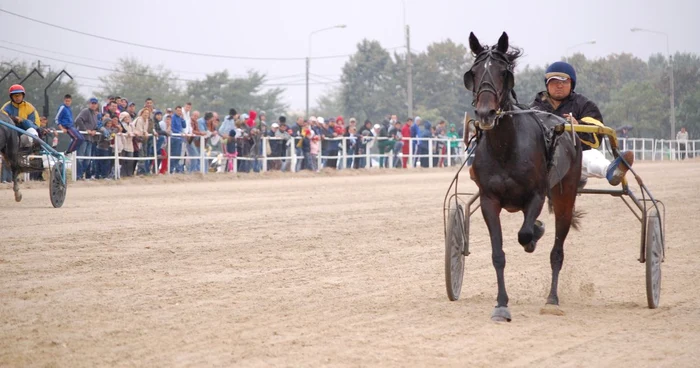 Derby de Trap la Hipodromul Ploiești. Foto arhivă Adevărul