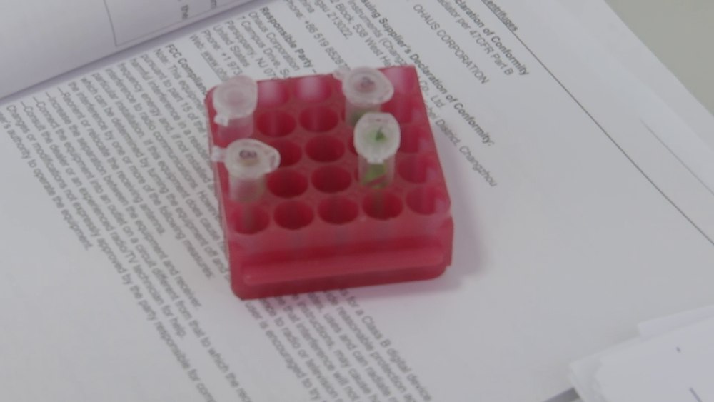 Laborator pentru depistarea plantelor modificate genetic, la o unitate de cercetare din Buzău